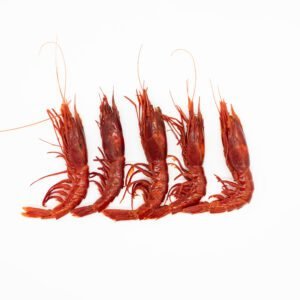 Carabinero (Aristaeopsis edwardsiana)