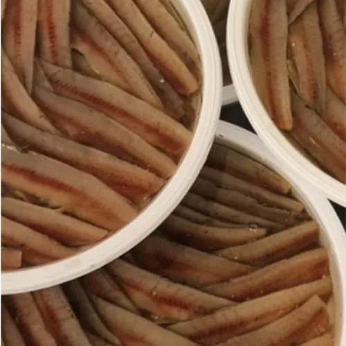 ANCHOA AHUMADA
