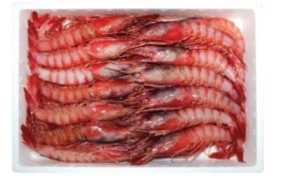 Gamba roja vs carabinero vs langostino tigre: diferencias reales en sabor, textura y uso
