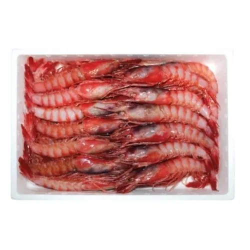 Gamba roja 2