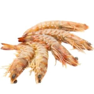 Langostino tigre