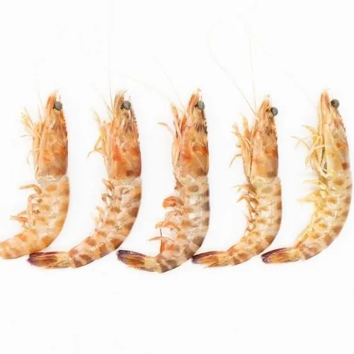 Langostino tigre 2